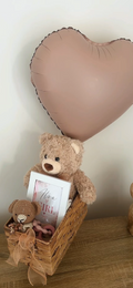 Mini Gender Reveal Bundle