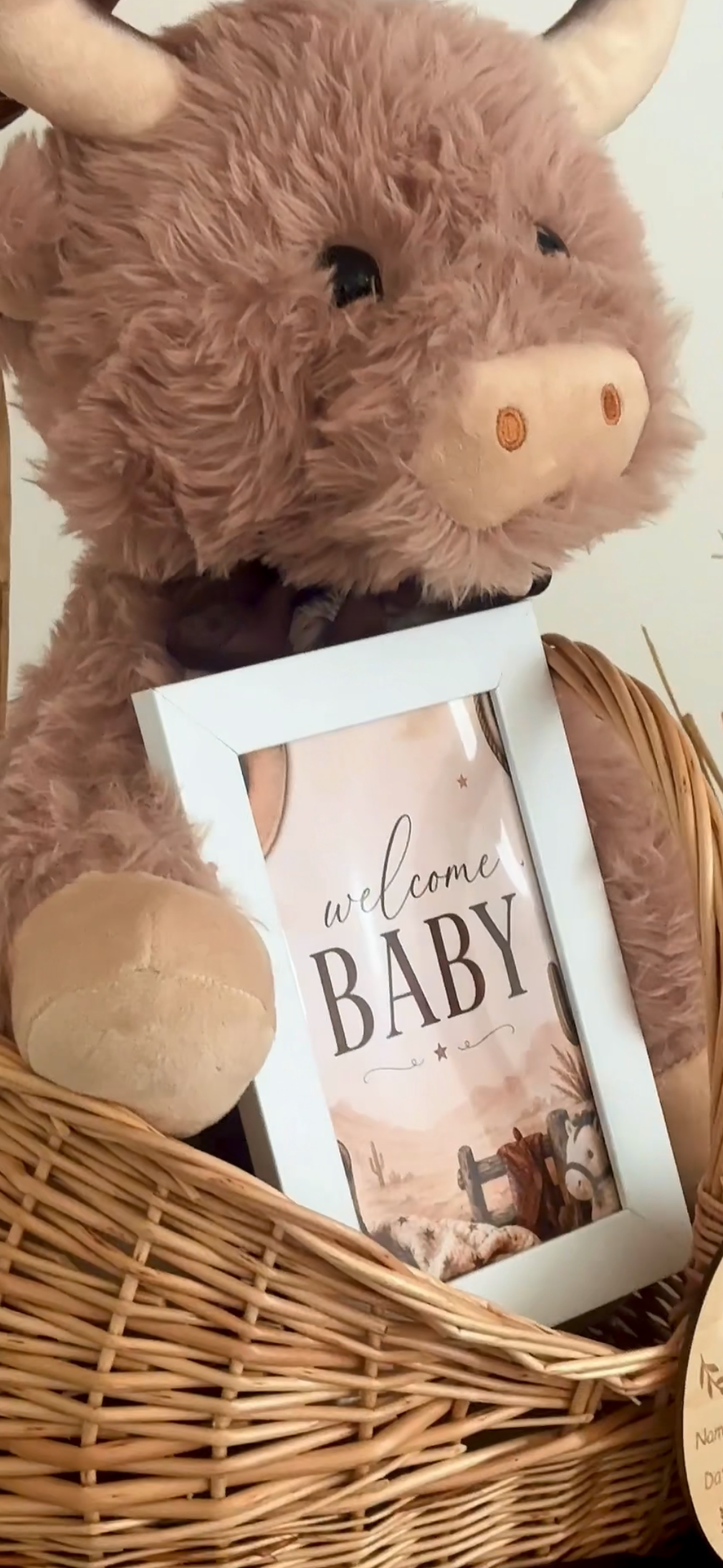Cowbaby Gift