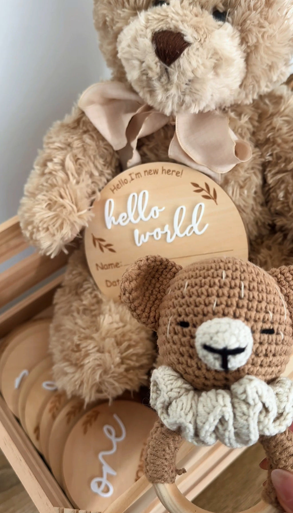 Baby basket